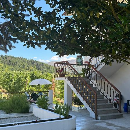 Willa Casa Vicente Lamego Zewnętrze zdjęcie