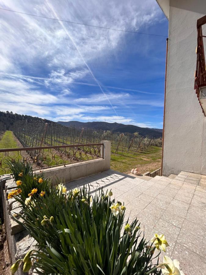 Willa Casa Vicente Lamego Zewnętrze zdjęcie
