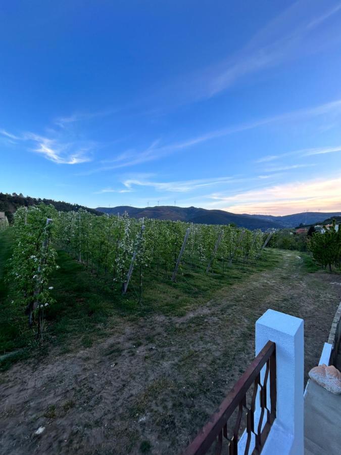 Willa Casa Vicente Lamego Zewnętrze zdjęcie