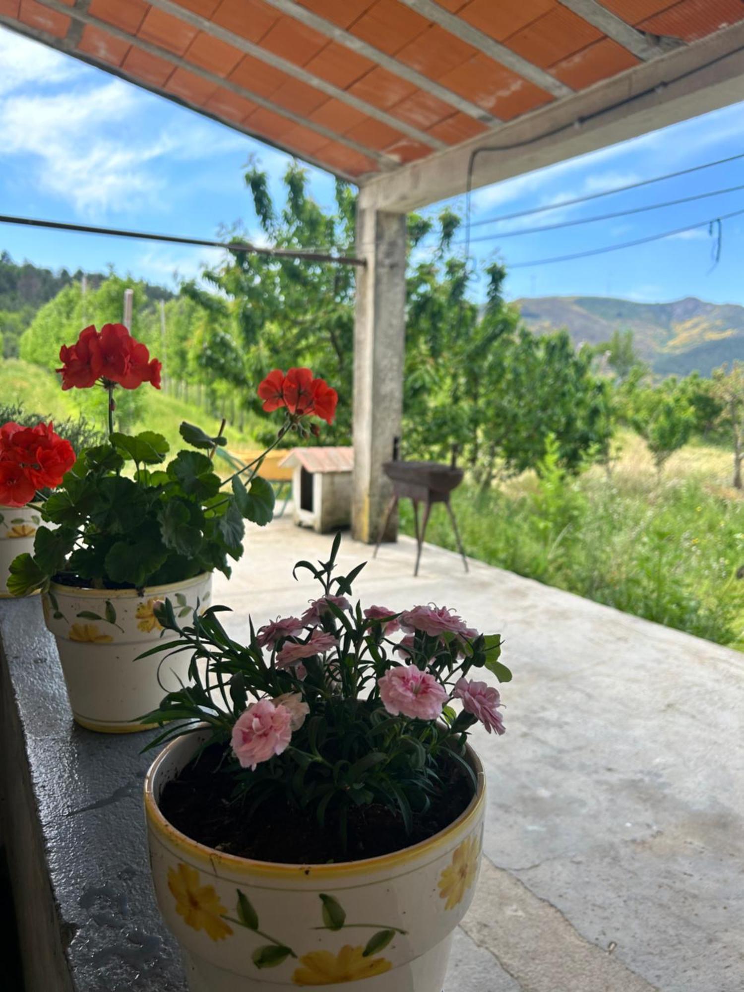 Willa Casa Vicente Lamego Zewnętrze zdjęcie