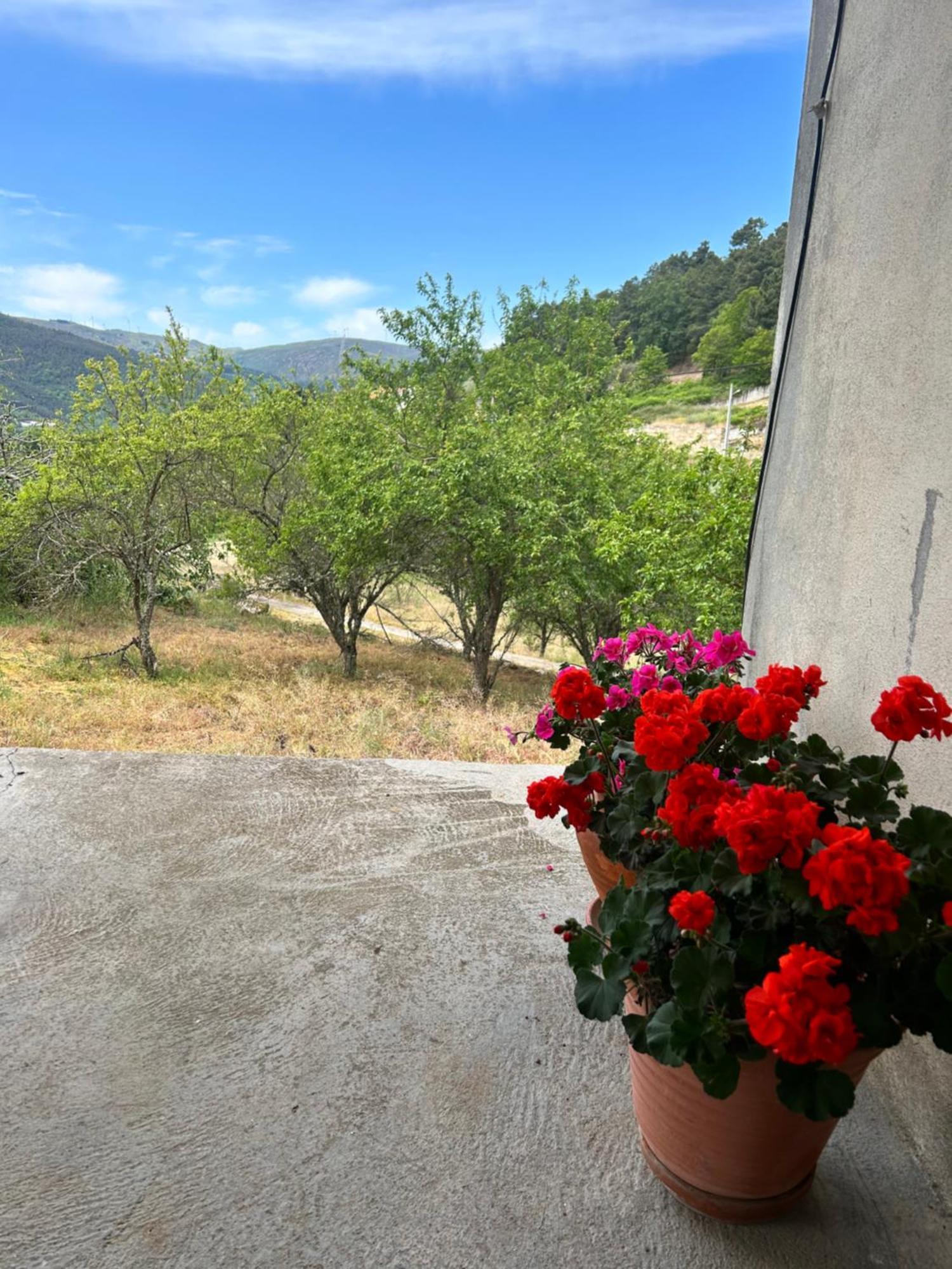 Willa Casa Vicente Lamego Zewnętrze zdjęcie