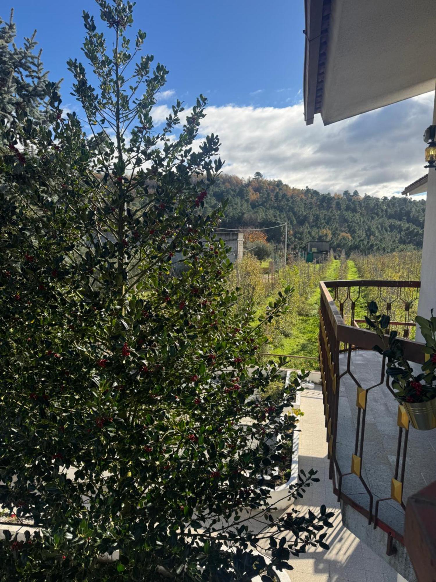 Willa Casa Vicente Lamego Zewnętrze zdjęcie